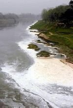 水體污染 水體污染